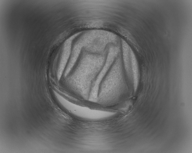 X0000068810681200606021551
