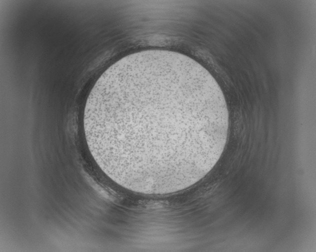 X0000068810683200606021551
