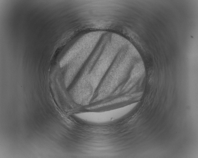 X0000068810685200606021551