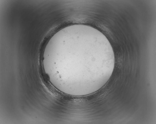 X0000068810686200606021551
