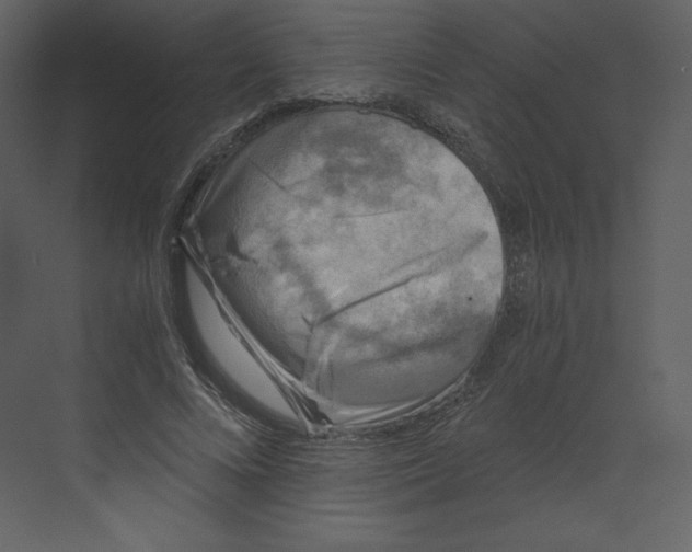 X0000068810688200606021551
