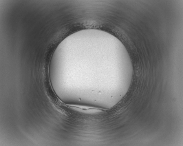 X0000068810690200606021551