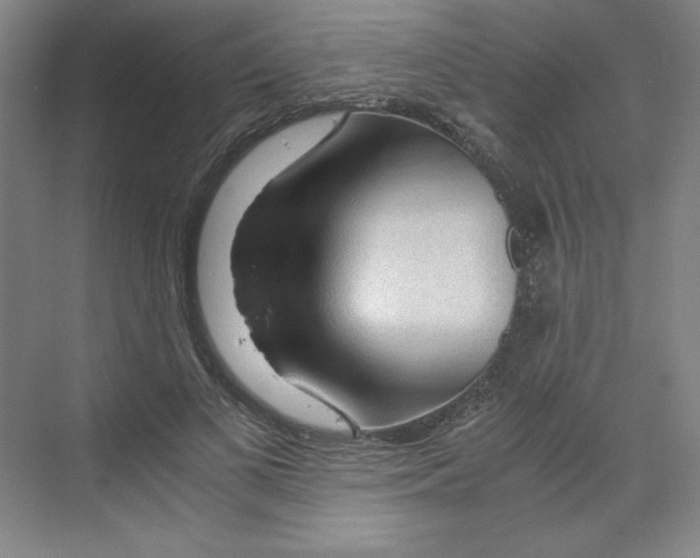 X0000068810693200606021551