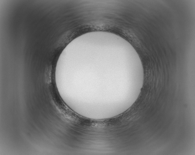 X0000068810694200606021551
