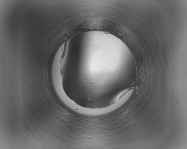 X0000068810697200606021551
