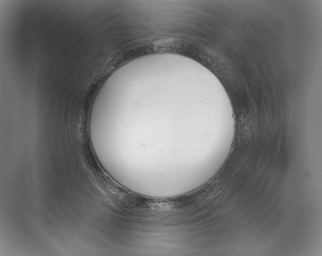 X0000068810698200606021551