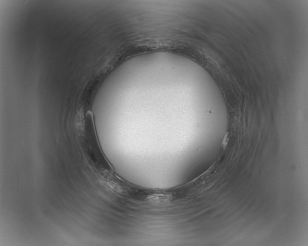 X0000068810700200606021551