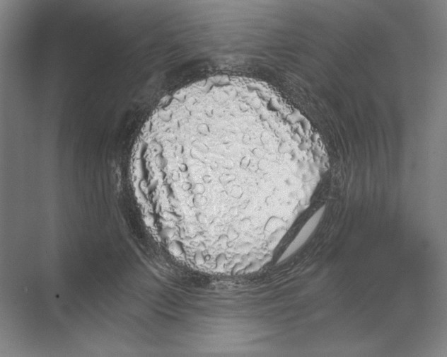 X0000068810703200606021551