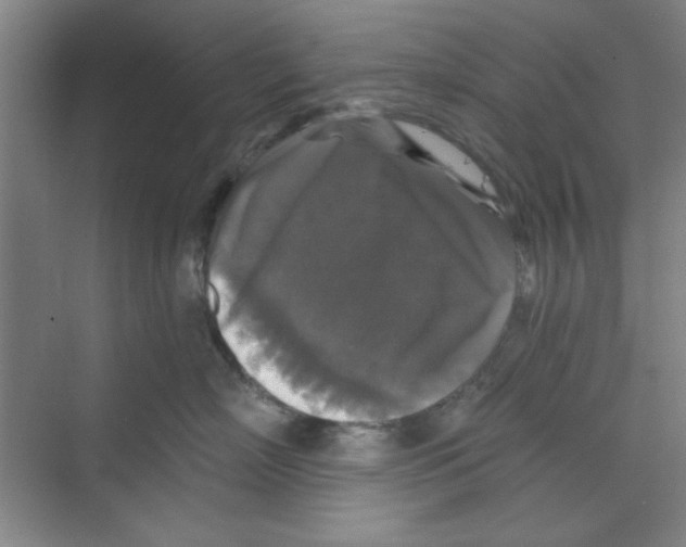 X0000068810718200606021551