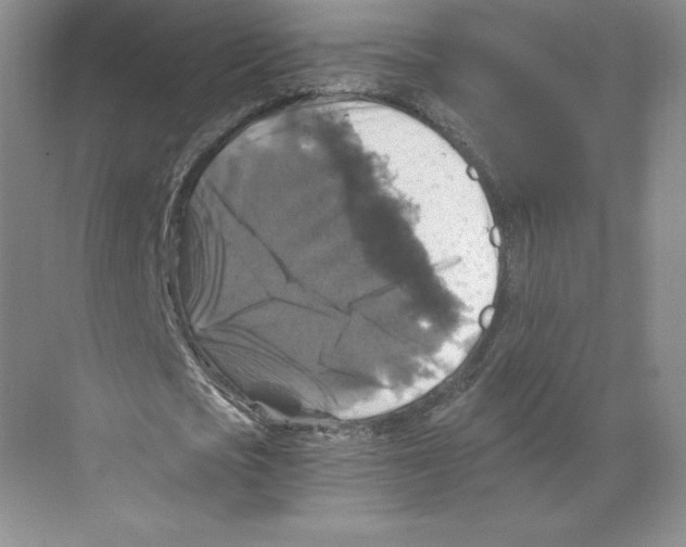 X0000068810721200606021550