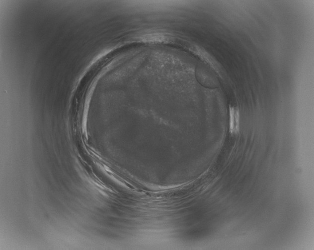 X0000068810723200606021550