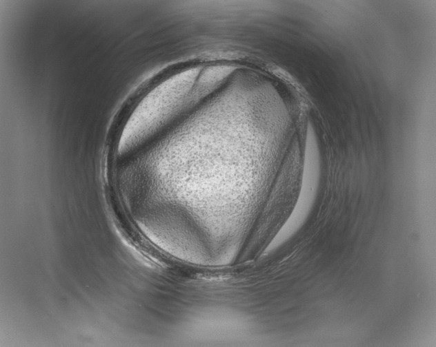 X0000068810726200606021550
