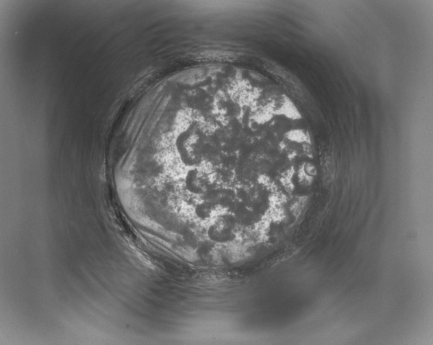 X0000068810729200606021550