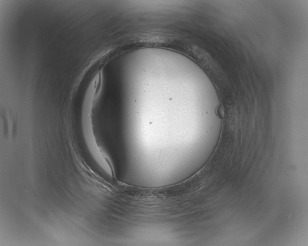 X0000068810731200606021550