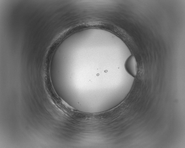 X0000068810732200606021550