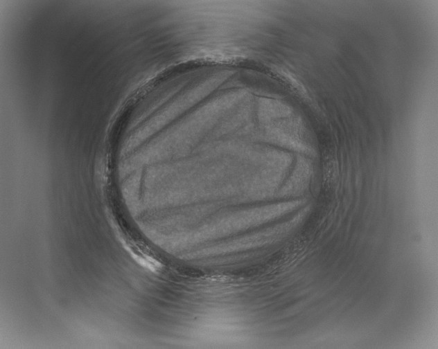 X0000068810736200606021550