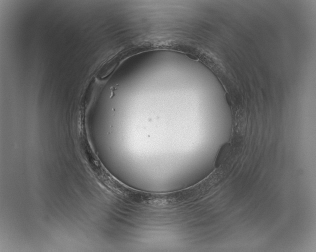 X0000068810740200606021550