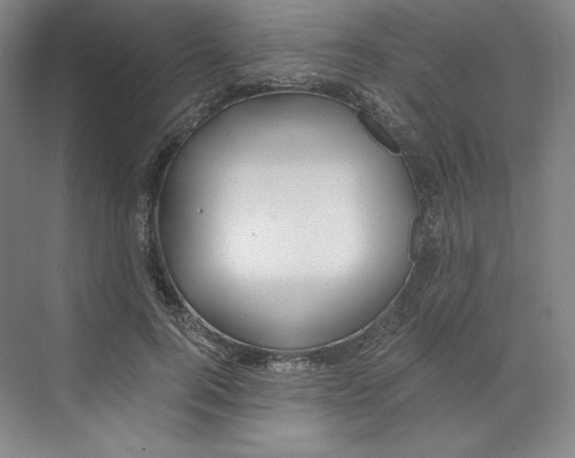 X0000068810744200606021550