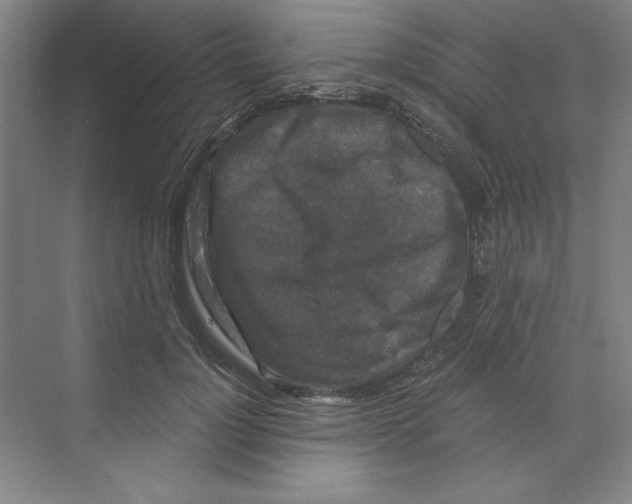 X0000068810748200606021550