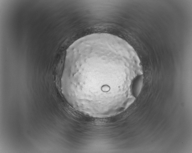 X0000068810758200606021551