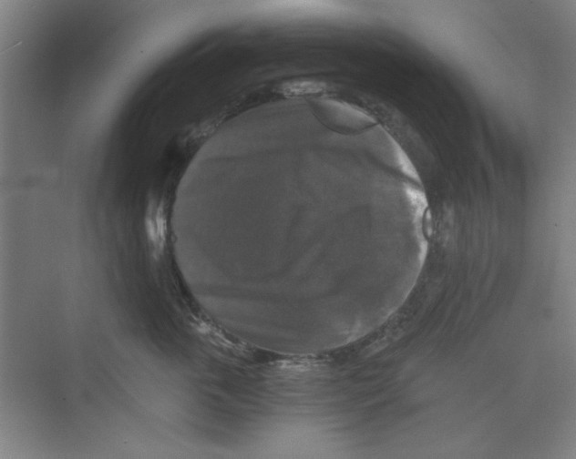 X0000068810763200606021551