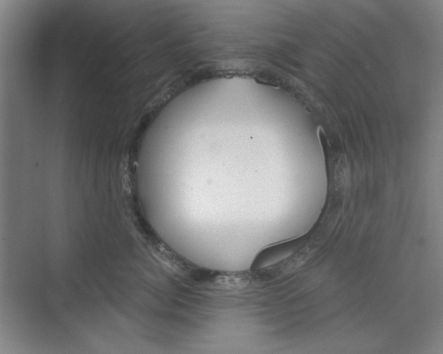X0000068810764200606021551
