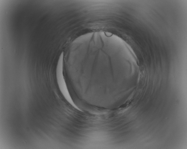 X0000068810767200606021551