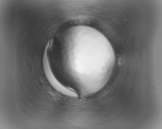 X0000068810771200606021550