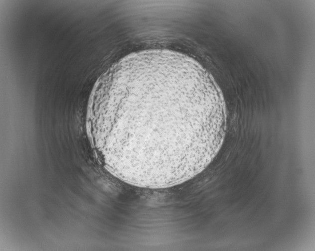 X0000068810772200606021550
