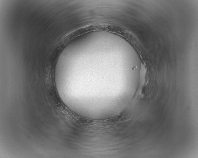X0000068810773200606021550
