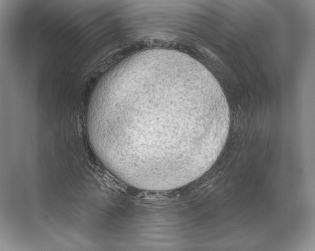 X0000068810774200606021550