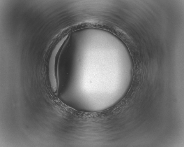 X0000068810776200606021550