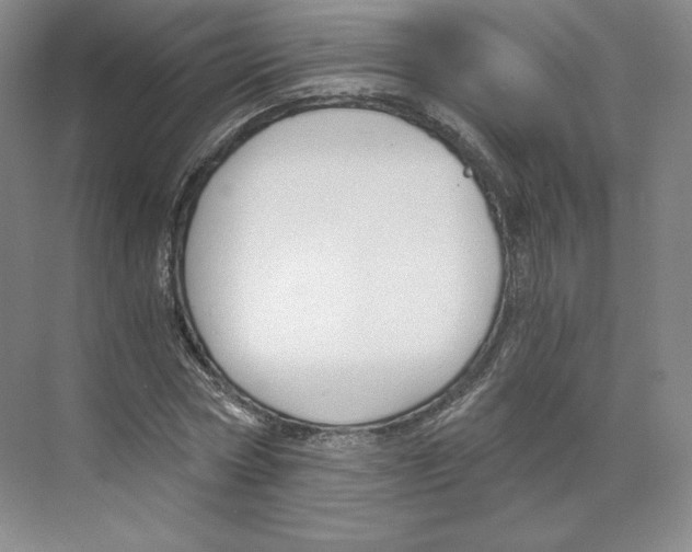 X0000068810778200606021550