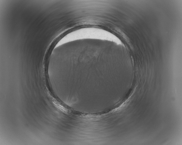 X0000068810779200606021550