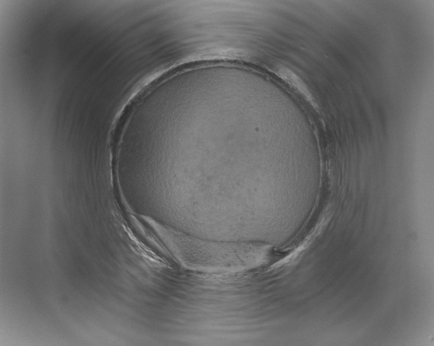 X0000068810781200606021550