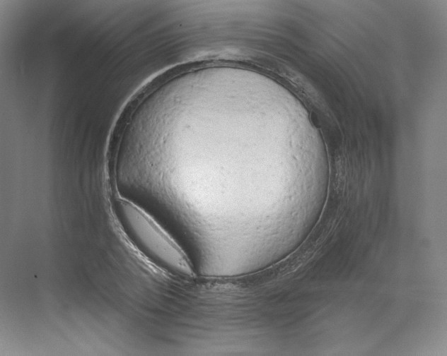 X0000068810784200606021550