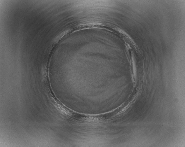 X0000068810785200606021550