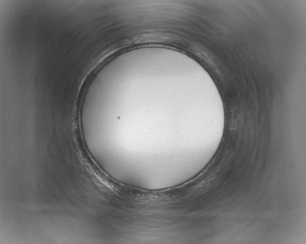 X0000068810786200606021550