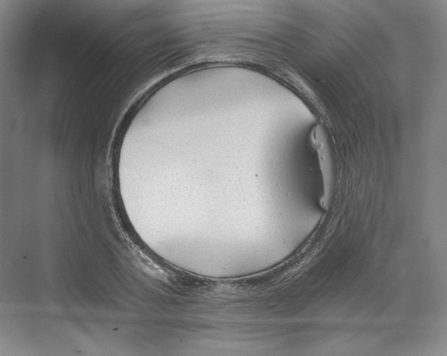 X0000068810787200606021550