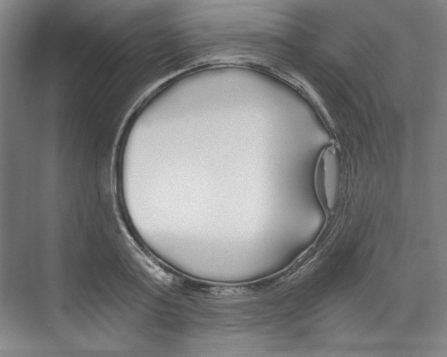 X0000068810795200606021550
