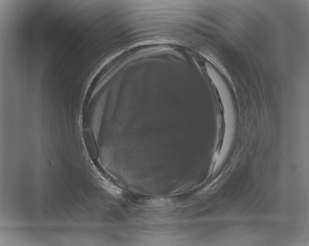 X0000068810797200606021549