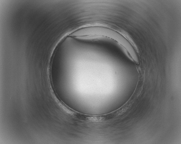 X0000068810805200606021549