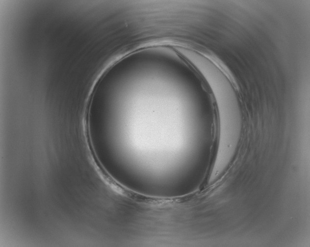 X0000068810813200606021549