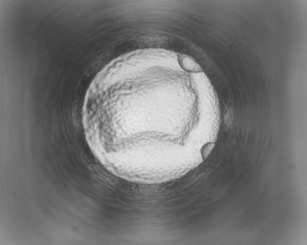 X0000068810819200606021548