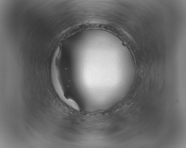 X0000068810821200606021548