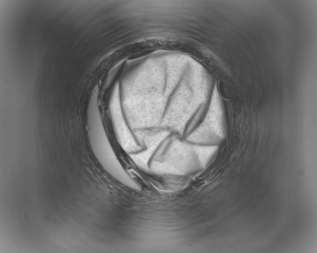 X0000068810822200606021548