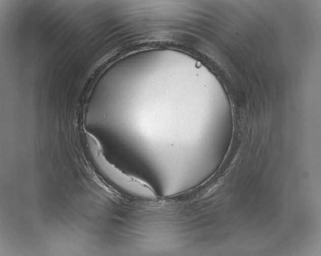 X0000068810826200606021548