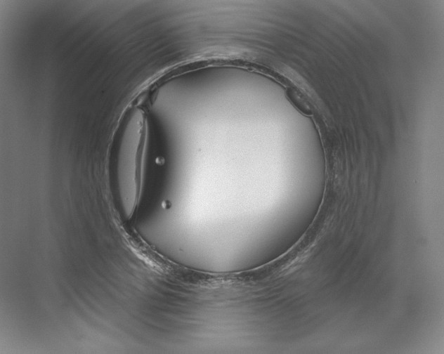 X0000068810834200606021549