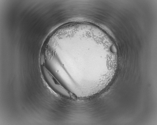 X0000068810839200606021549