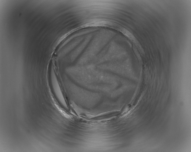 X0000068810842200606021549
